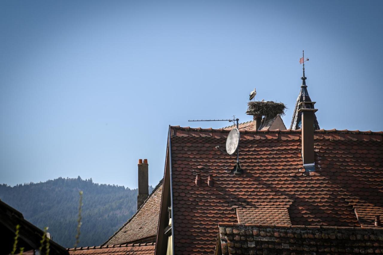 Le Hameau D'Eguisheim - Chambres D'Hotes & Gites Екстер'єр фото